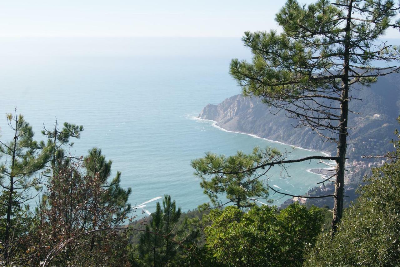 Chez Il Pino Vernazza Vista Mare Zewnętrze zdjęcie